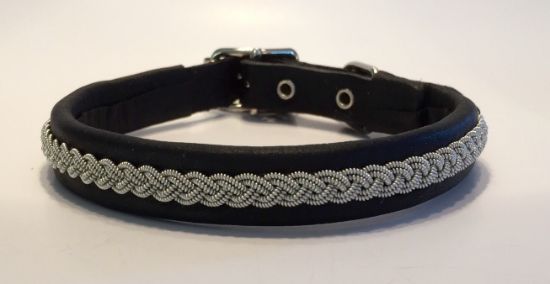 Bild på Hundhalsband Dog004